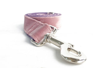 Adjustable Pet Collar And Leash Set: The Perfect Companion for Your Furry Friend