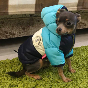Waterproof Warm Cotton Padded Pet Jacket - The Essential Winter Wear for Your Furry Friend